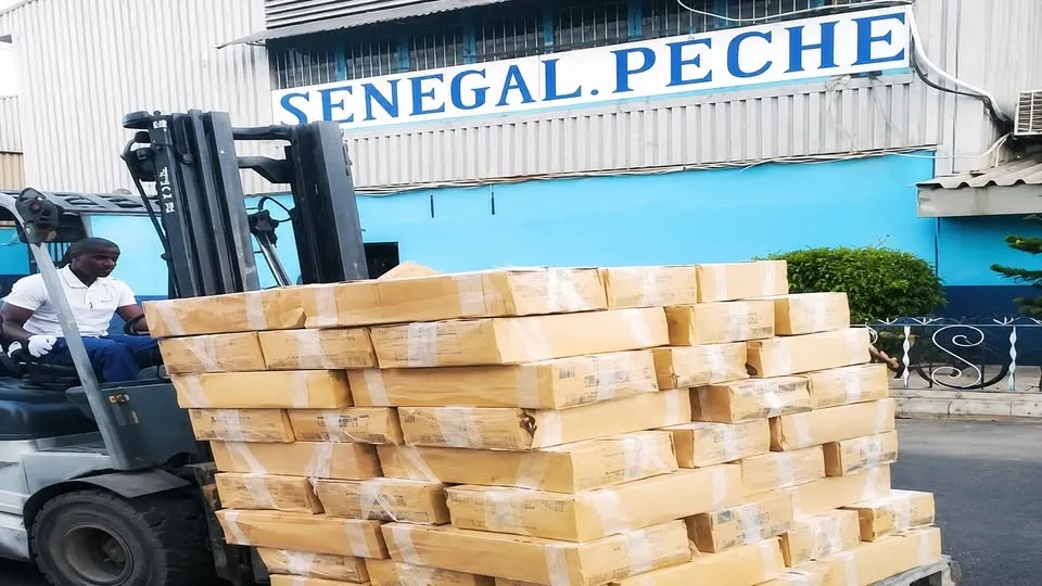 Le site de Sénégal Pêche au Môle 10 du Port autonome de Dakar : un chariot élévateur transporte une palette de cartons devant le bâtiment portant l'enseigne SENEGAL PECHE.